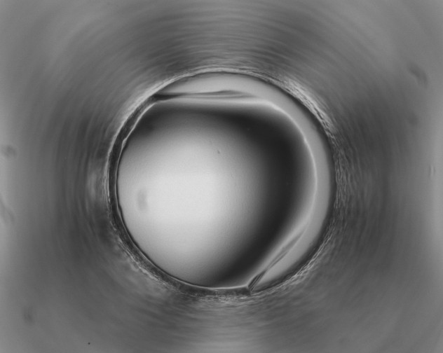 X0000090600884200708071140