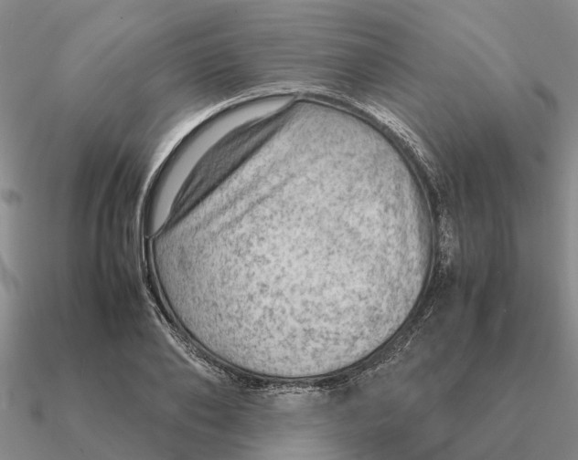 X0000090600886200708071140