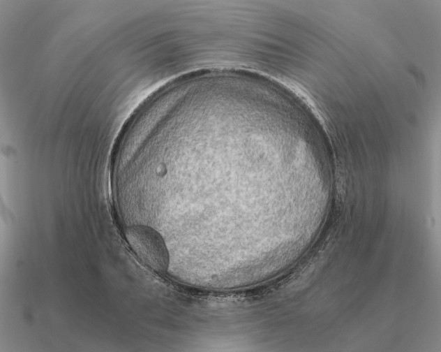 X0000090600887200708071140