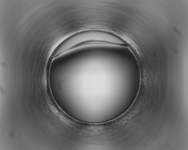 X0000090600888200708071140