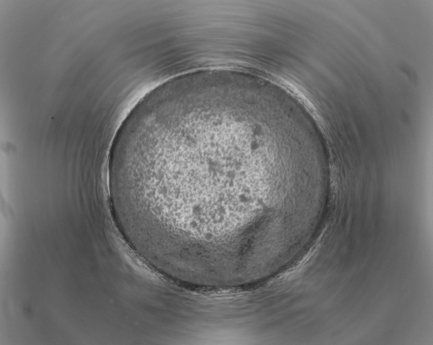 X0000090600891200708071140