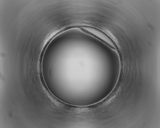 X0000090600893200708071140