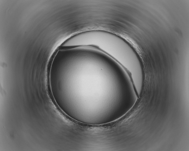 X0000090600894200708071140