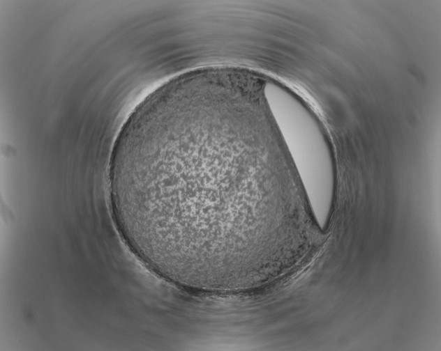 X0000090600895200708071140