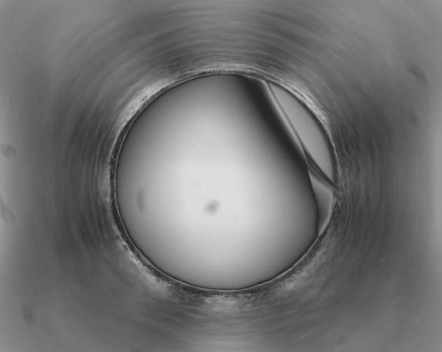 X0000090600898200708071140