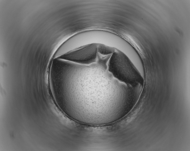 X0000090600900200708071140