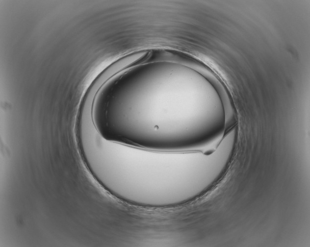 X0000090600901200708071140