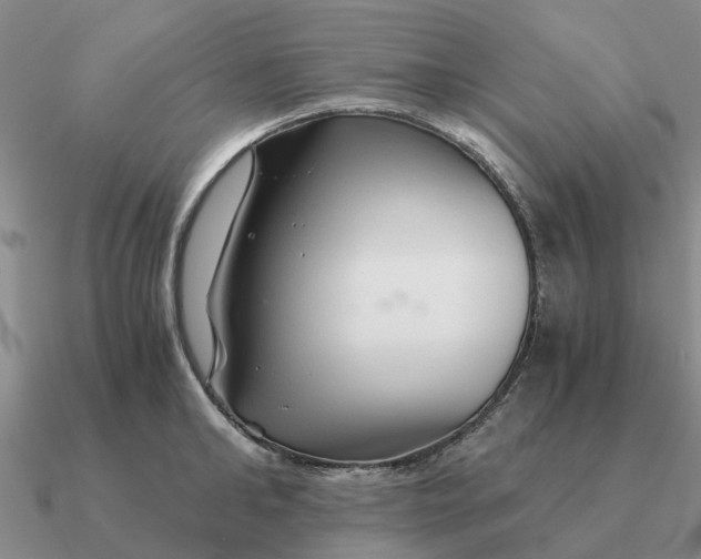 X0000090600902200708071140