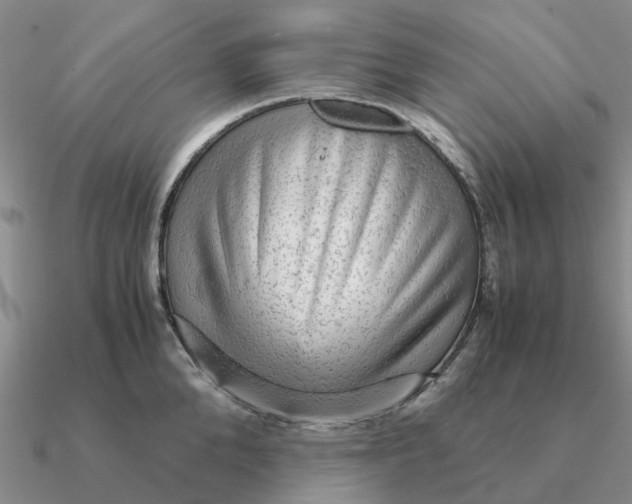 X0000090600904200708071140