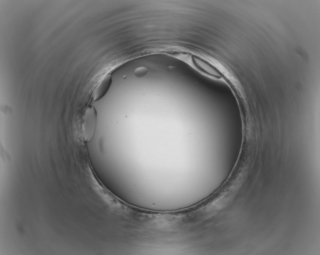 X0000090600905200708071140