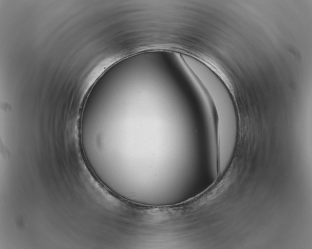 X0000090600906200708071140