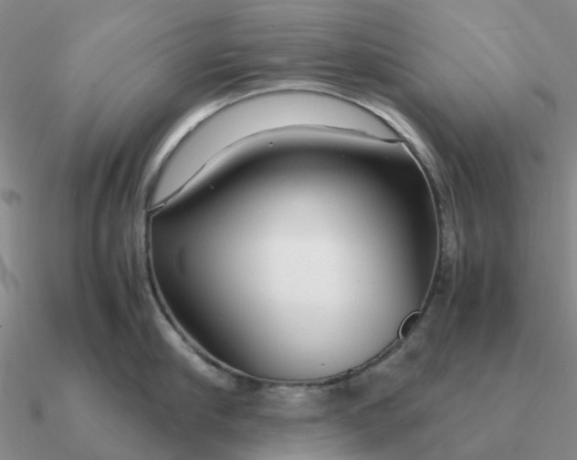 X0000090600910200708071140