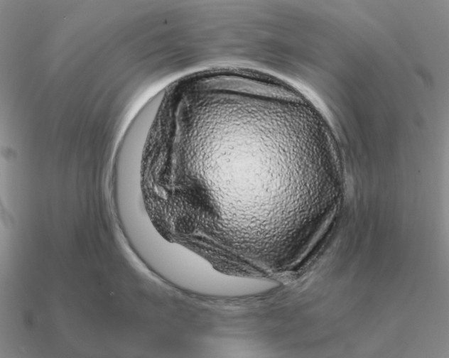 X0000090600911200708071140