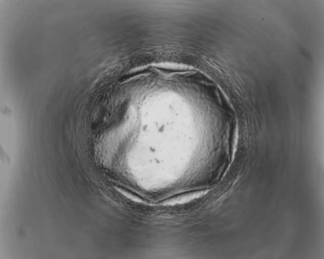 X0000090600913200708071139