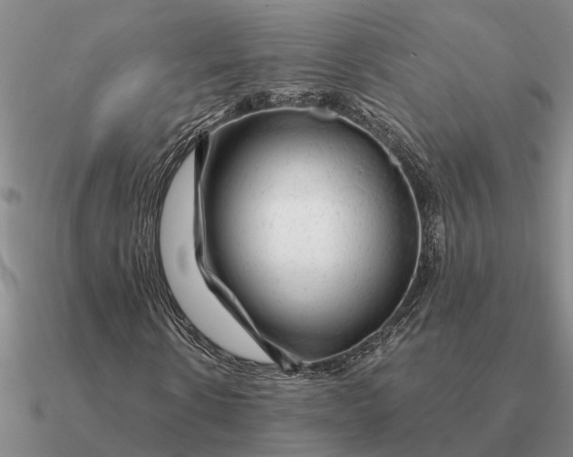 X0000090600914200708071139