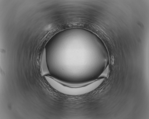 X0000090600915200708071139