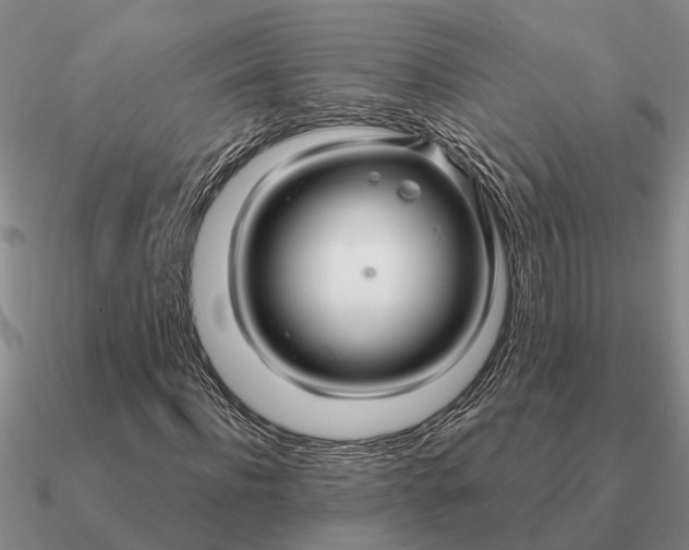 X0000090600916200708071139