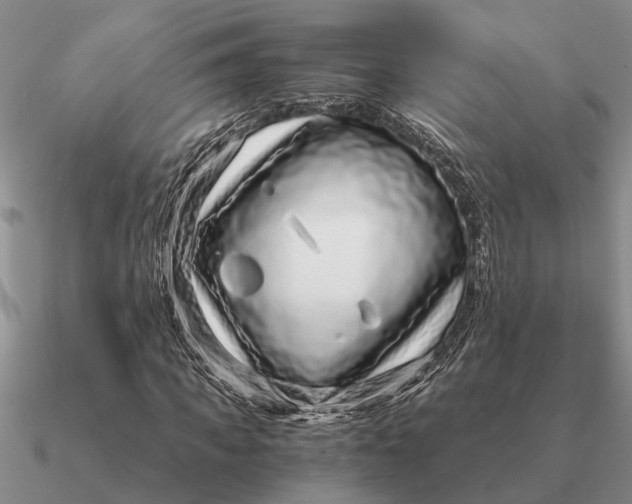 X0000090600917200708071139