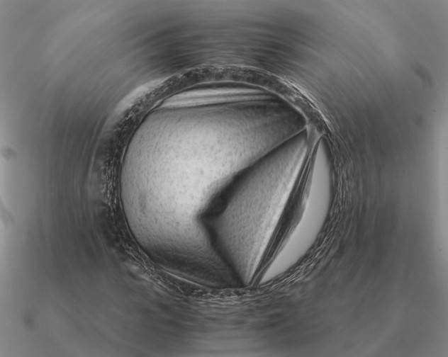 X0000090600919200708071139