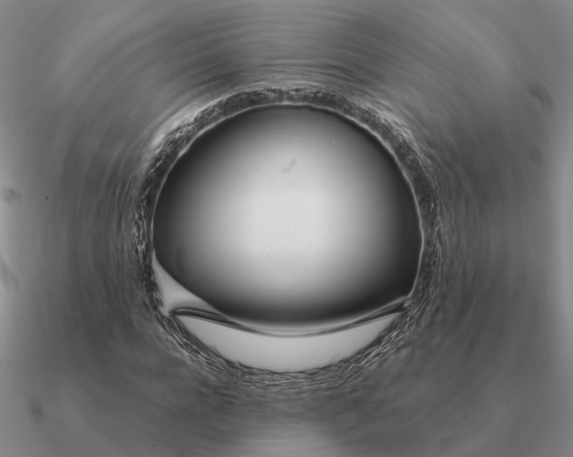 X0000090600920200708071139