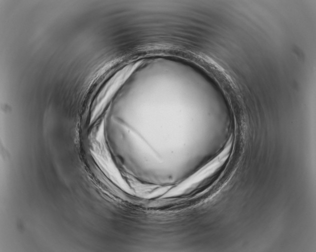 X0000090600921200708071139