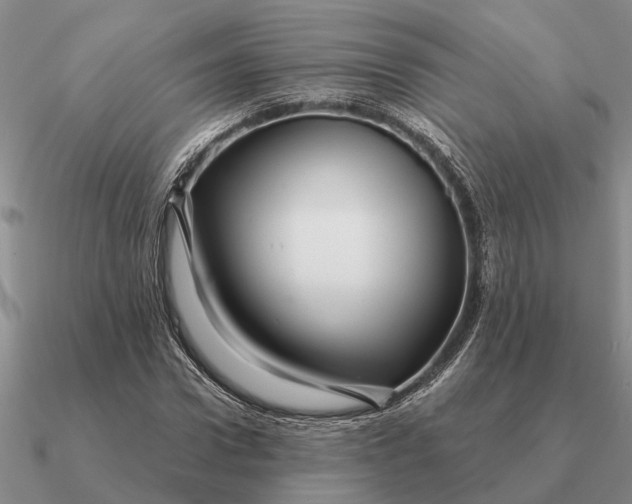 X0000090600922200708071139