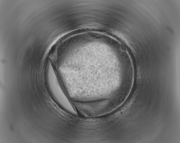 X0000090600923200708071139