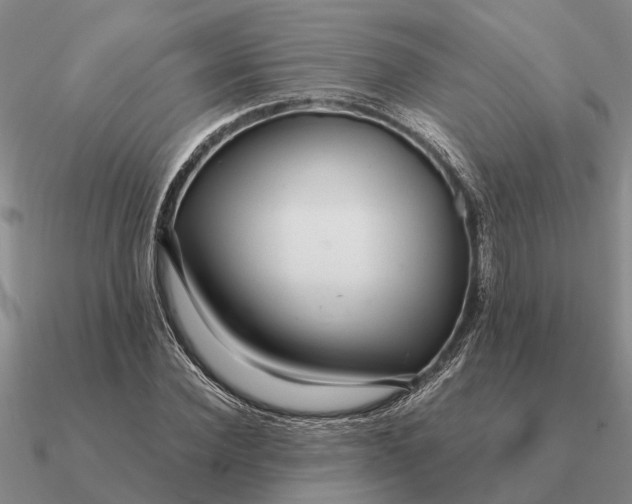 X0000090600924200708071139