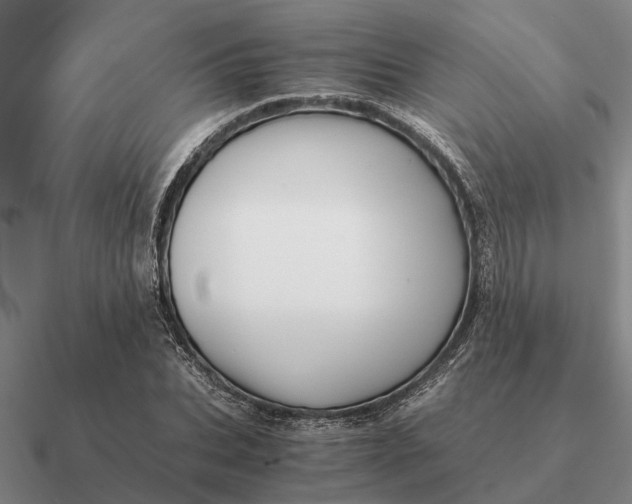 X0000090600927200708071139