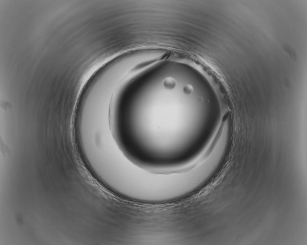 X0000090600928200708071139