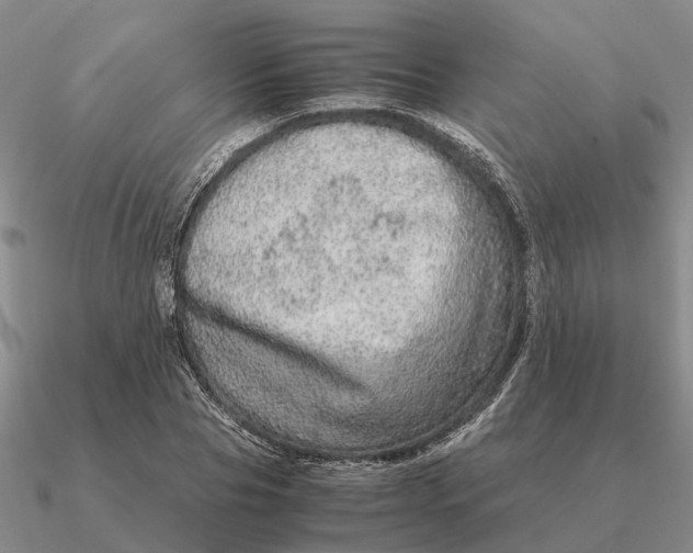 X0000090600929200708071139