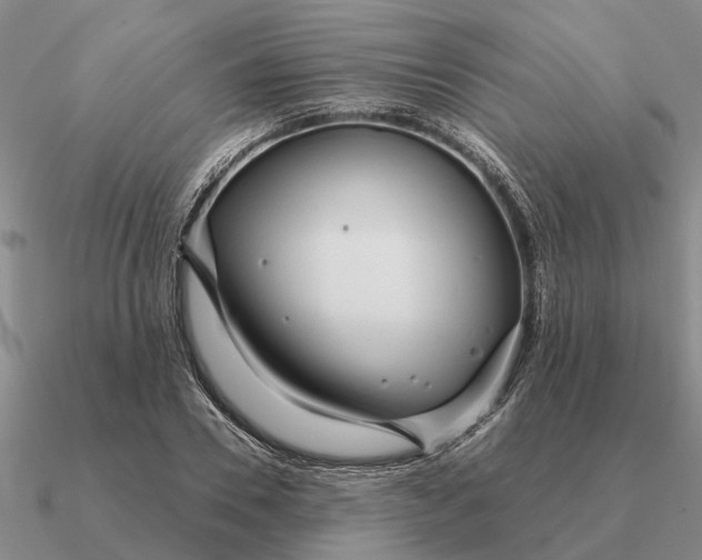 X0000090600930200708071140