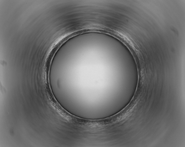 X0000090600931200708071140