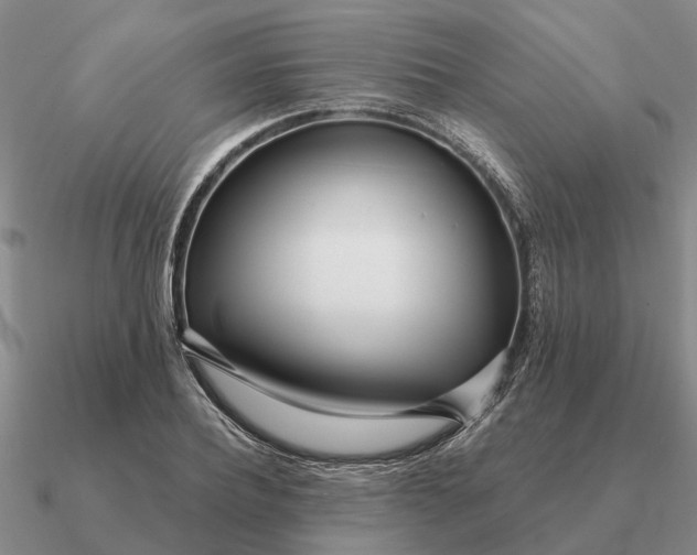 X0000090600932200708071140