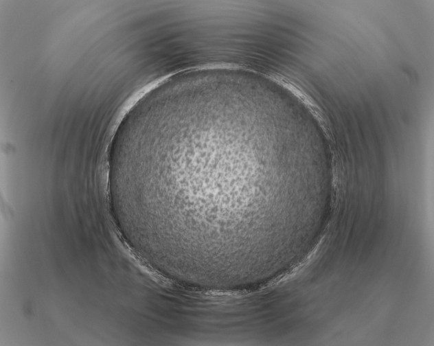 X0000090600933200708071140