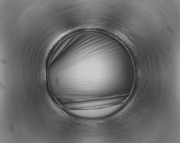 X0000090600934200708071140