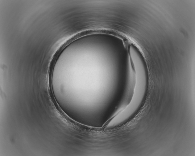 X0000090600935200708071140