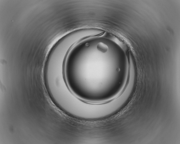 X0000090600936200708071140