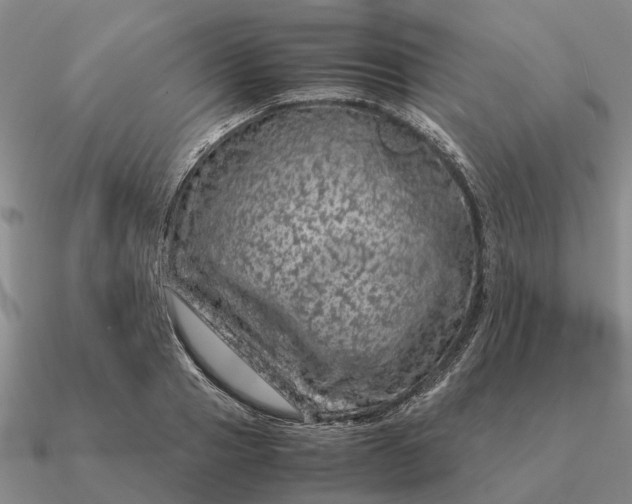 X0000090600937200708071140