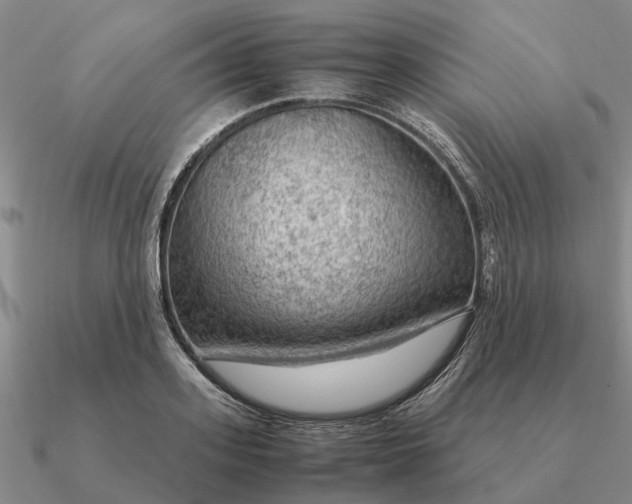 X0000090600939200708071140