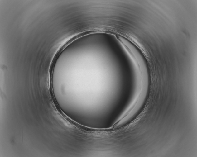 X0000090600940200708071140