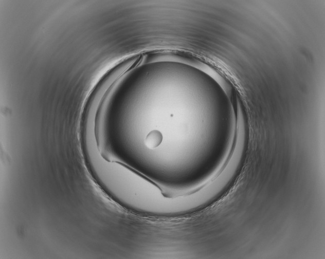 X0000090600942200708071140