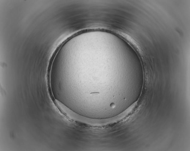 X0000090600943200708071140