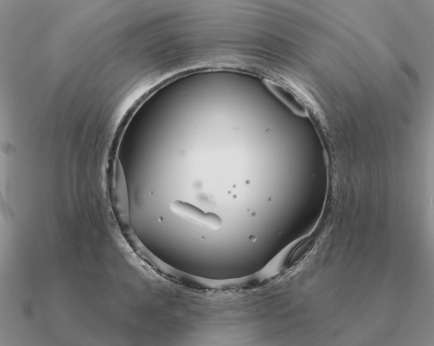 X0000090600944200708071140