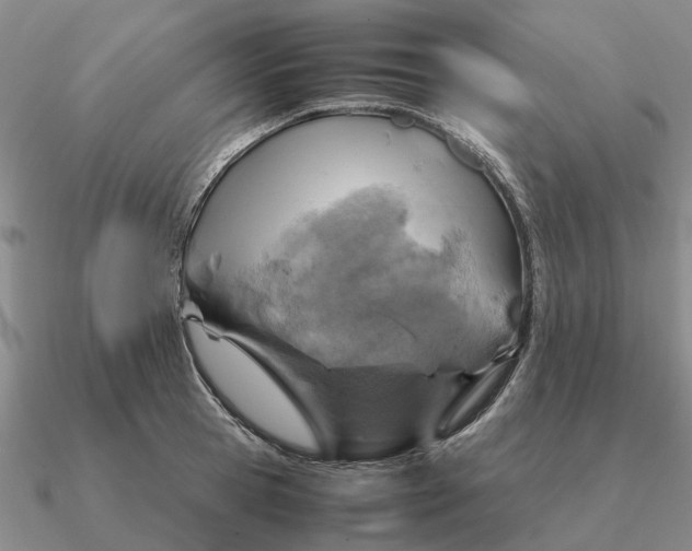 X0000090600945200708071140