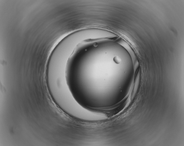 X0000090600948200708071140