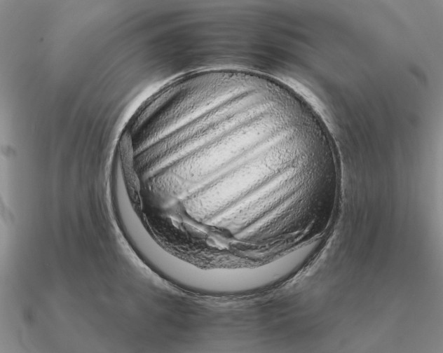 X0000090600949200708071140