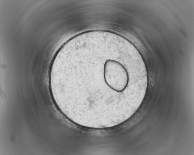 X0000090600950200708071140