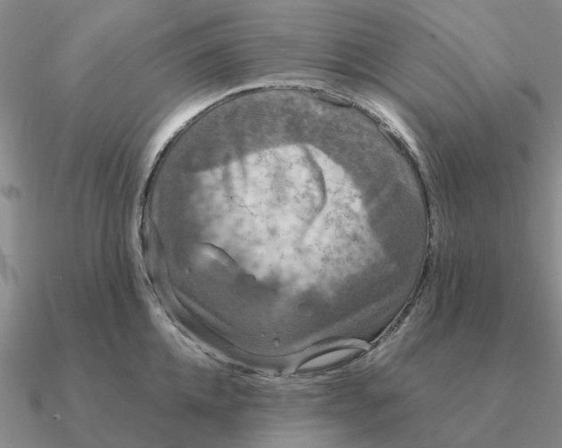 X0000090600952200708071140