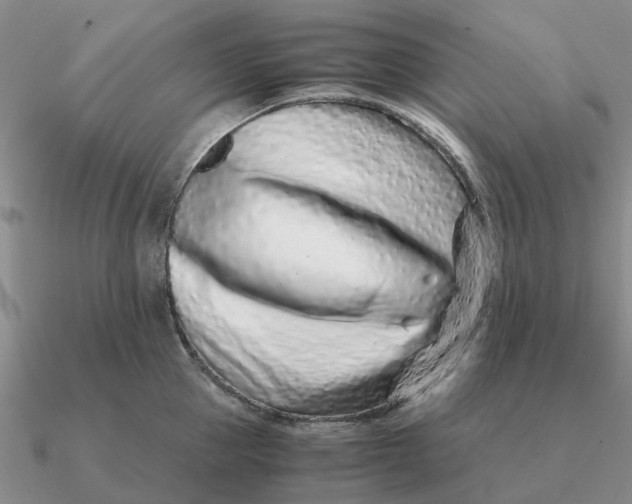 X0000090600953200708071140